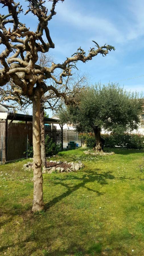 Villa Bracci Molinaccio Exterior photo